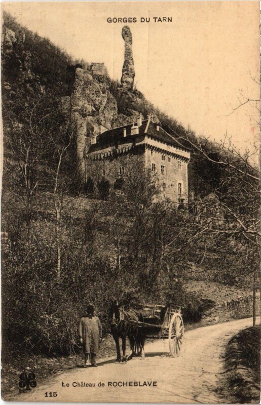 Carte postale ancienne Le Chateau de Rocheblave