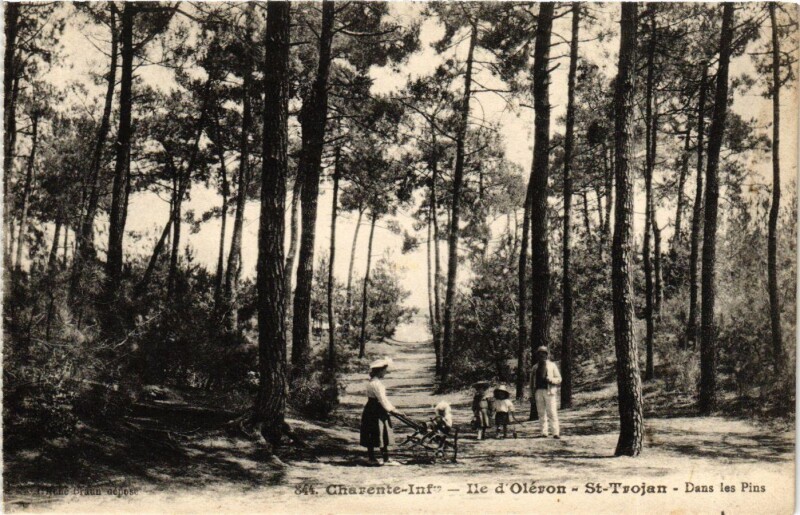 Carte postale ancienne Charente-Inf. - Ile d'Oleron - Saint-Trojan - Dans les Plus