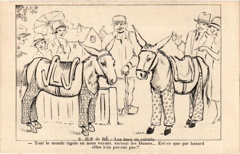 Carte postale ancienne Ile-de-Re - Les anes en culotte