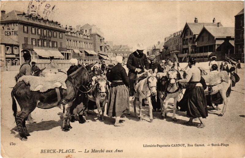 Carte postale ancienne Berck-Plage - Le Marché aux Anes à Berck