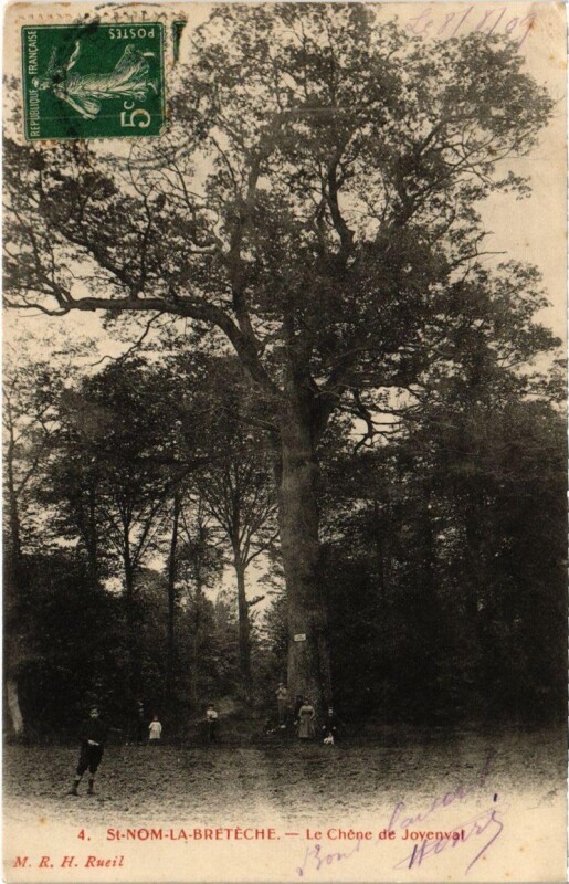 Carte postale ancienne Saint-Nom-la-Breteche - Le Chene de Jovenvat à Saint-Nom-la-Bretèche