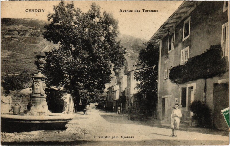 Carte postale ancienne Cerdon - Avenue des Terreaux à Cerdon