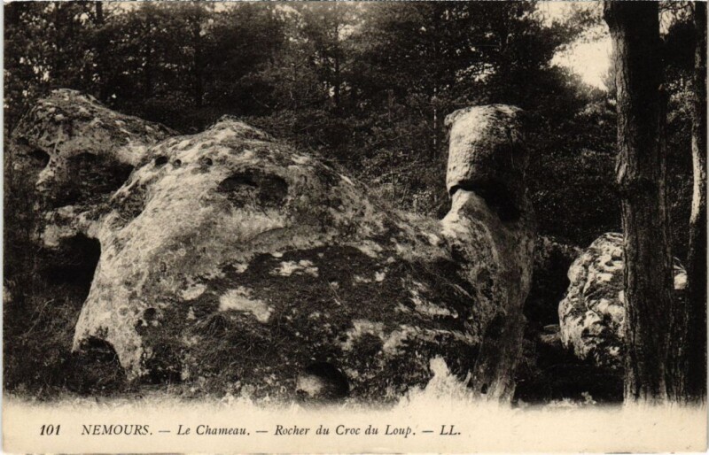 Carte postale ancienne Nemours Le Chameau Rocher du Croc du Loup à Nemours
