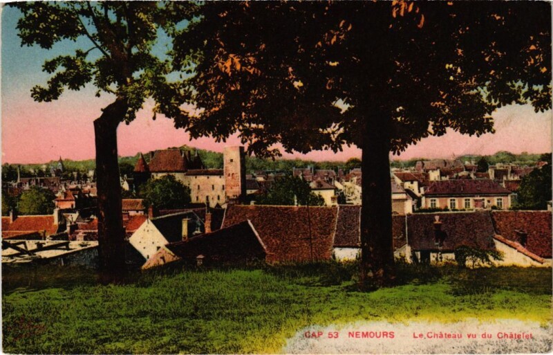 Carte postale ancienne Nemours Le Chateau vu du Chatelet à Nemours