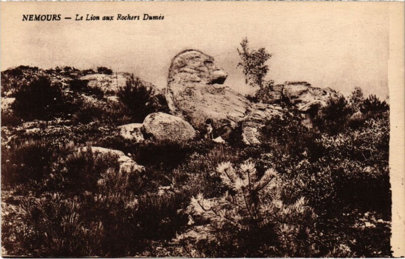 Carte postale ancienne Nemours Le Lion (Rocher Dumee) à Nemours