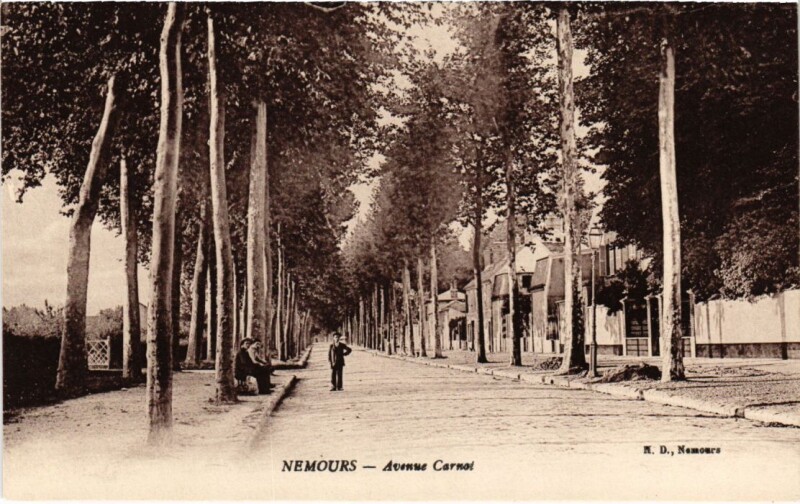 Carte postale ancienne Nemours Avenue Carnot à Nemours