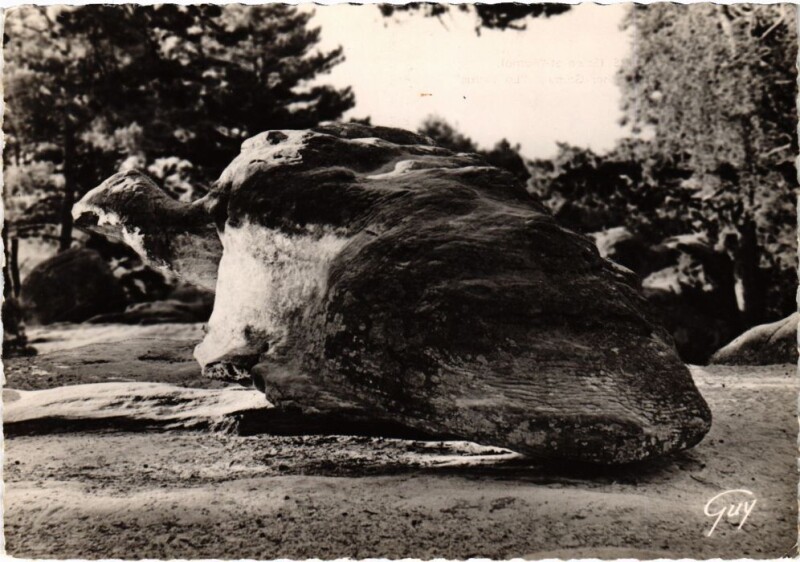 Carte postale ancienne Nemours Roche Greau La tortue à Nemours