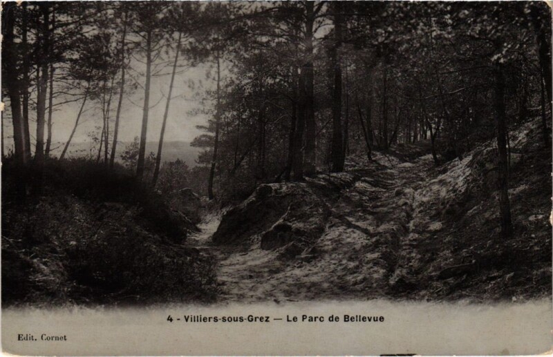 Carte postale ancienne Villiers-sous-Grez Le Parc de Bellevue à Villiers-sous-Grez