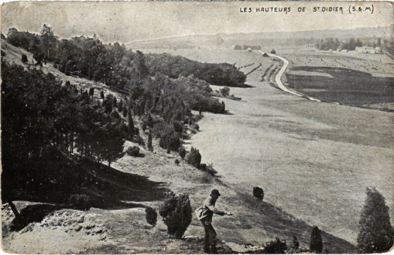 Carte postale ancienne Les Hauteurs de Saint-Didier