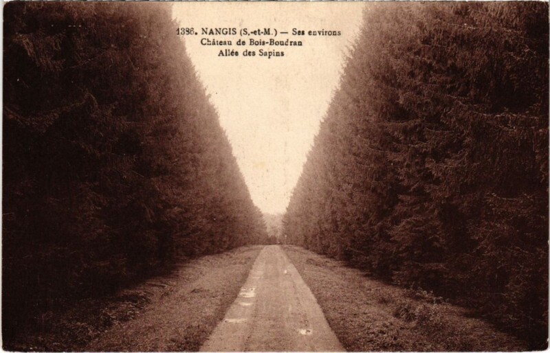 Carte postale ancienne Nangis Ses Environs - Chateau de Bois-Boudran - Allee des Sapins à Nangis