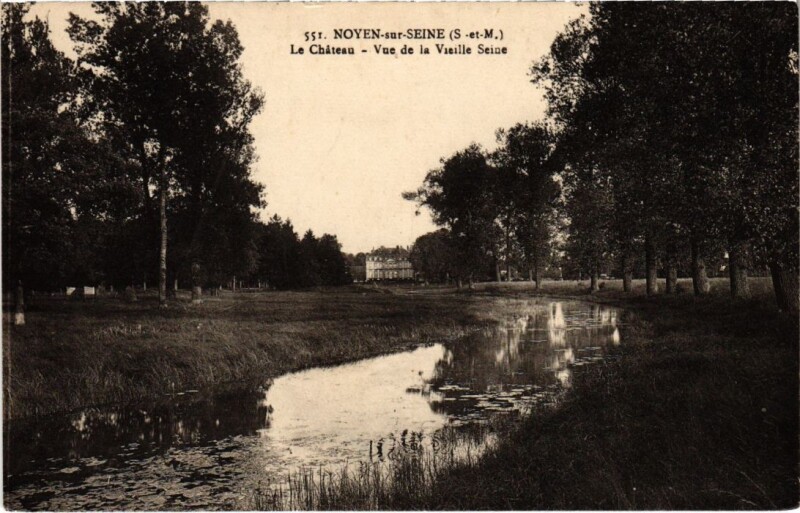 Carte postale ancienne Noyen-sur-Seine Le Chateau - Vue de la Vieille Seine à Noyen-sur-Seine