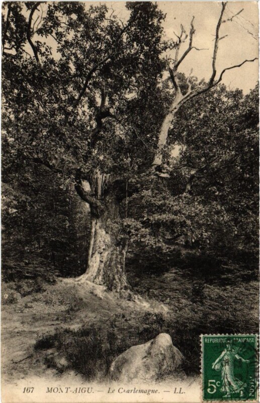 Carte postale ancienne Mont-Aigu - Le Charlemagne