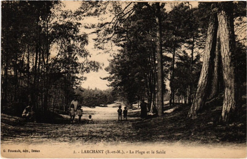 Carte postale ancienne Larchant La Plage et le Sable à Larchant
