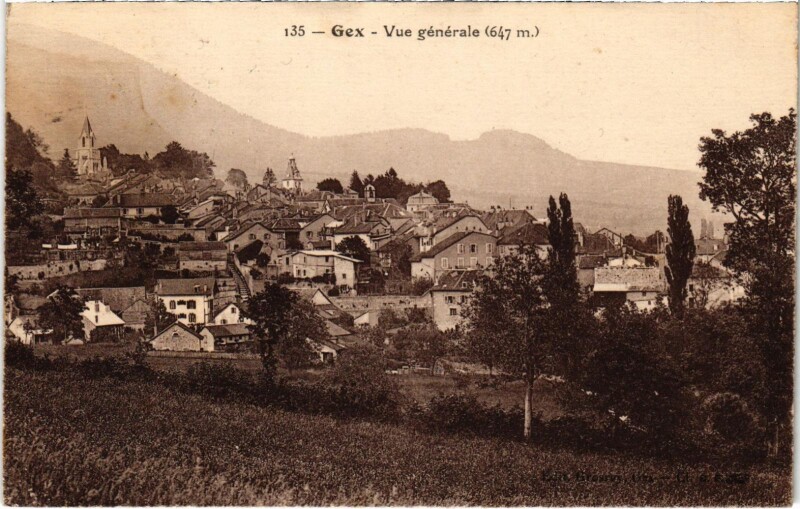 Carte postale ancienne Gex - Vue générale à Gex