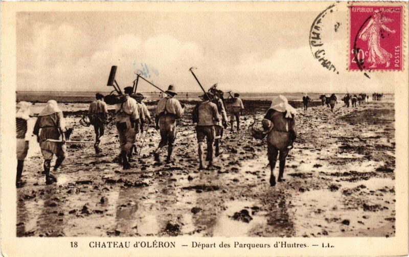 Carte postale ancienne Chateau d'Oleron - Départ des Parqueurs d'Huitres