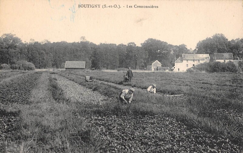 Carte postale ancienne Boutigny Les Cressonnieres