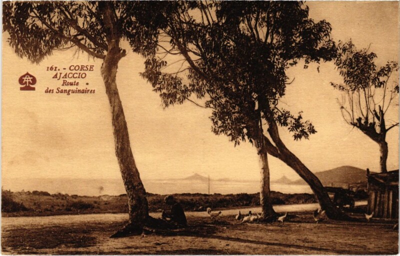 Carte postale ancienne Ajaccio - Route des Sanguaires à Ajaccio