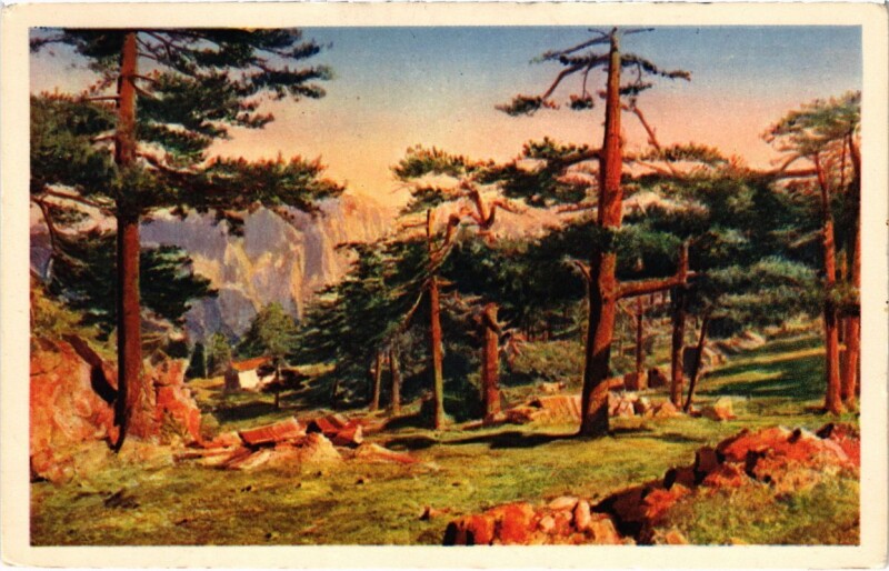 Carte postale ancienne Bavella