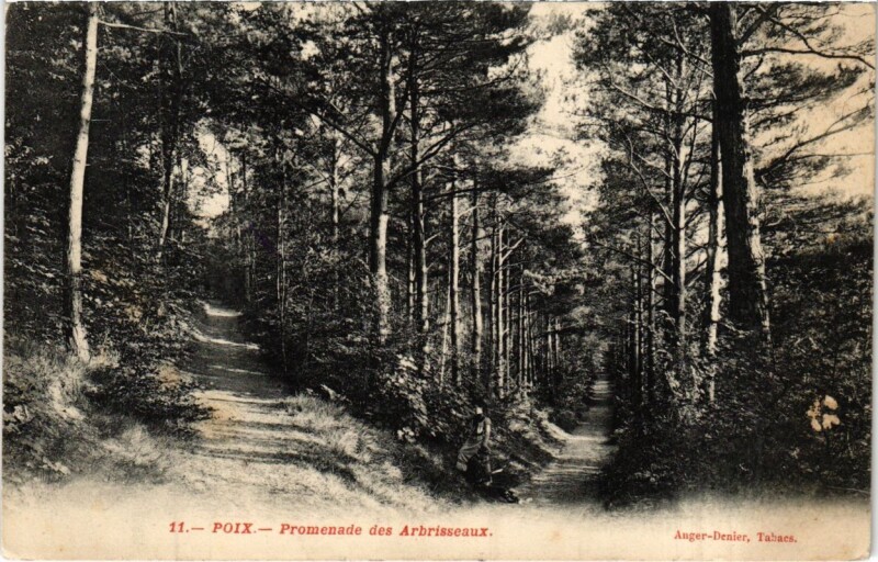 Carte postale ancienne Poix- Promenade des Arbrisseaux France