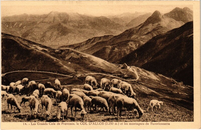 Carte postale ancienne Les Grands Cols de Provence, le Col d'Allos à Allos