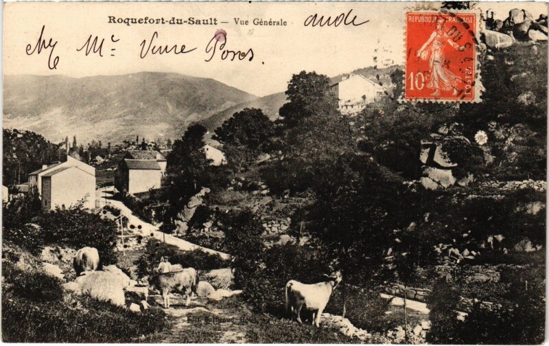 Carte postale ancienne Roquefort-du-Sault - Vue générale