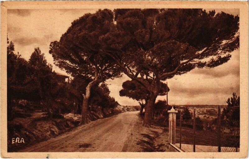 Carte postale ancienne Saint-Pierre-Plage - Route de la Chapelle