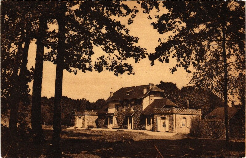 Carte postale ancienne Le Bois de l'Isle - Brulon