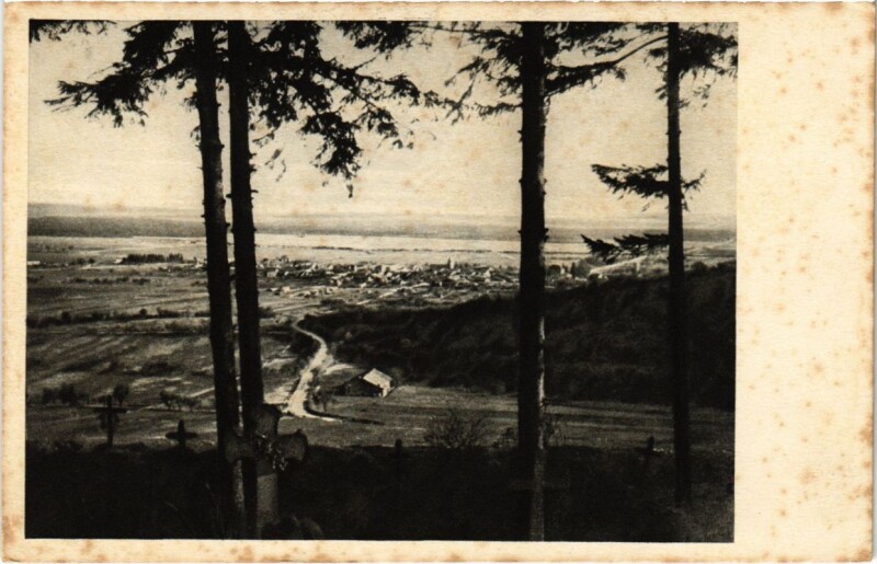 Carte postale ancienne Vigneulles-les-Hattonchatel - Panorama à Vigneulles-lès-Hattonchâtel