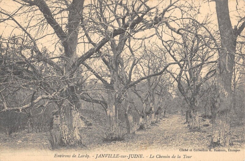 Carte postale ancienne Janville Sur Juine Le Chemin De La Tour à Janville-sur-Juine
