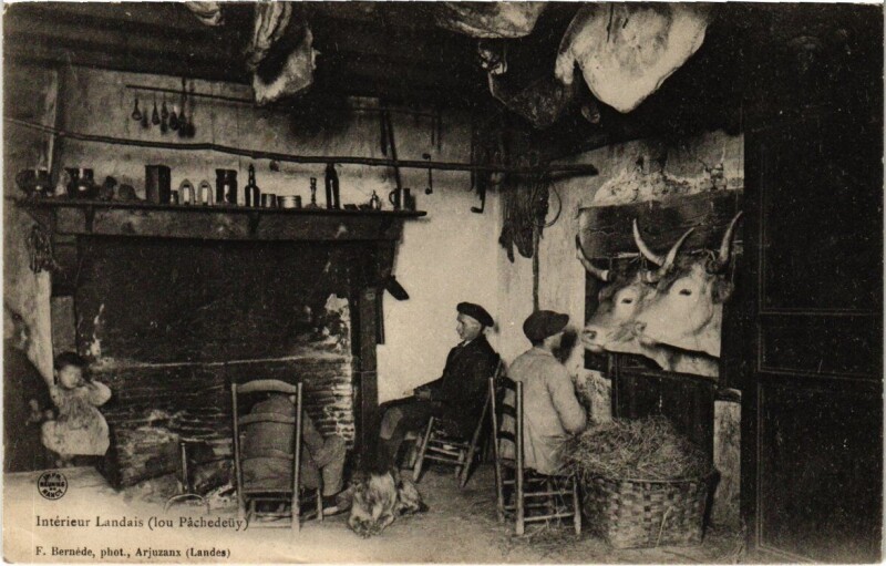 Carte postale ancienne Intérieur Landais