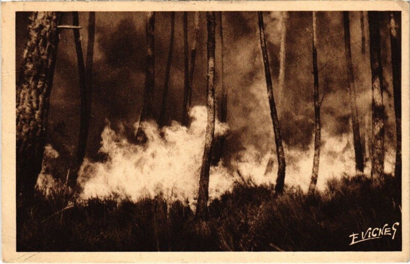 Carte postale ancienne Paysages Landais - La forét brule