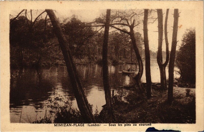 Carte postale ancienne Mimizan-Plage - Sous les pins au courant à Mimizan