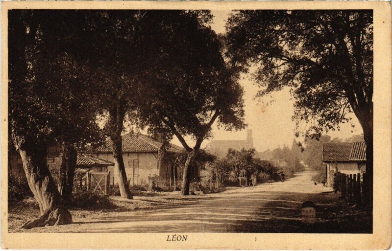 Carte postale ancienne Entrée au Village par la Route de Vielle-Saint Girons à Vielle-Saint-Girons
