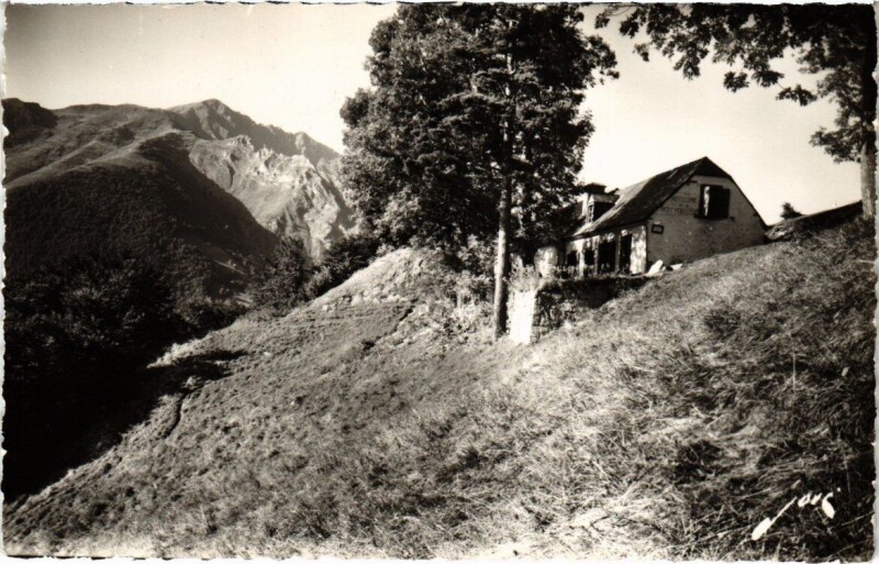Carte postale ancienne Cauterets - Promenade de la Reine Hortense à Cauterets