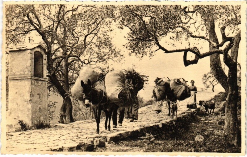 Carte postale ancienne Dans la Campagne