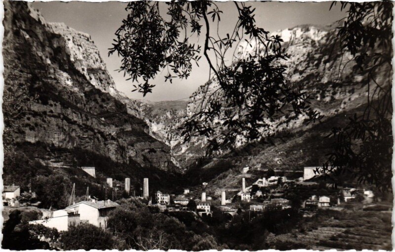 Carte postale ancienne Vue générale du Pont du Loup