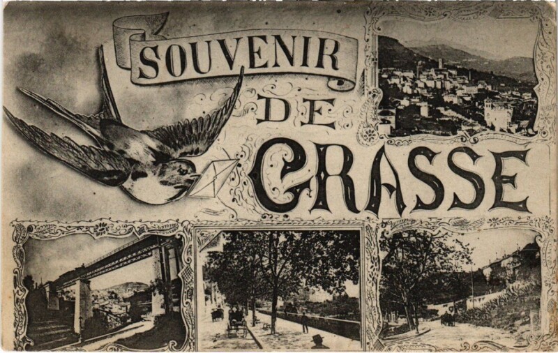 Carte postale ancienne Souvenir de Grasse à Grasse
