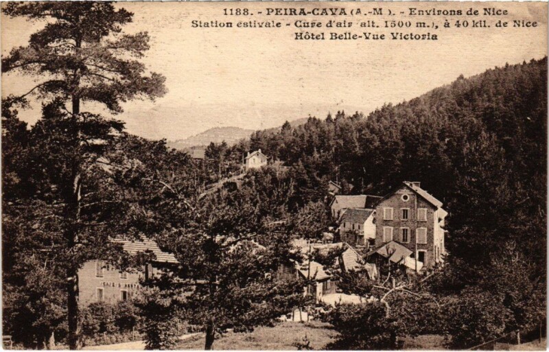 Carte postale ancienne Peira-Cava - Environs de Nice