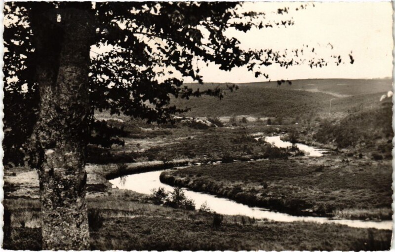 Carte postale ancienne Vallee de la Vezere - La Vezere aux Environs de Bugeat à Bugeat