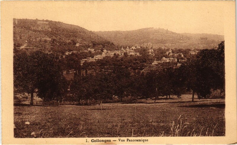 Carte postale ancienne Collonges - Vue Panoramique
