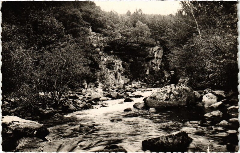 Carte postale ancienne Vallee de la Vezere - Les Gorges de la Vezere pres de Bugeat à Bugeat