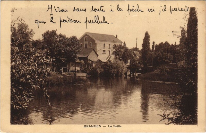 Carte postale ancienne Branges - La Seille à Branges