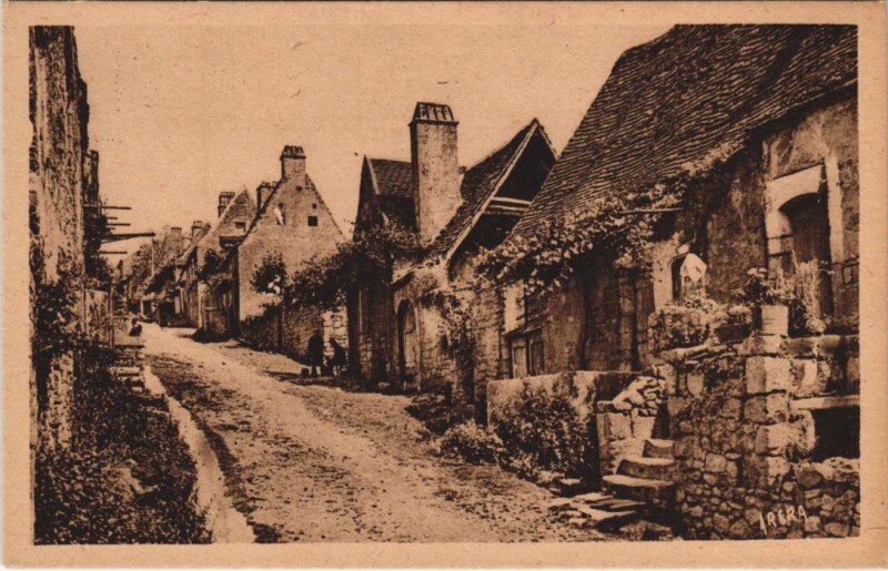 Carte postale ancienne Domme Une rue escarpée aux logis rustiques enguirlandes de pampre à Domme