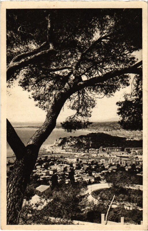 Carte postale ancienne Nice- vue generale France