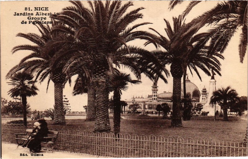 Carte postale ancienne Nice- Jardins Albert 1er, Groupe de Palmiers France