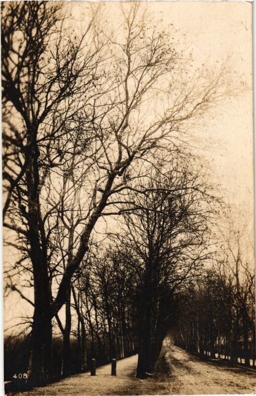 Carte postale ancienne Real Photo on Postcard France