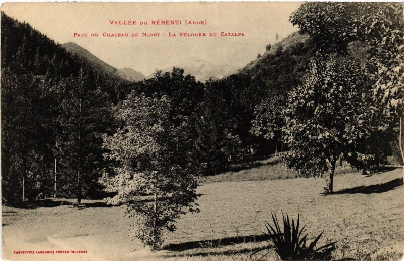 Carte postale ancienne Parc du Chateau de Niort France