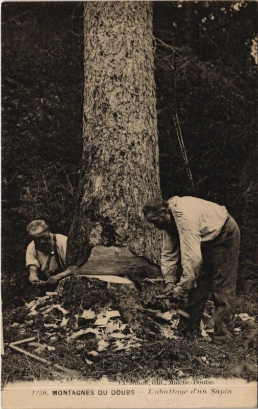 Carte postale ancienne Montagnes du Doubs - L'abbattage d'un Sapin à Doubs