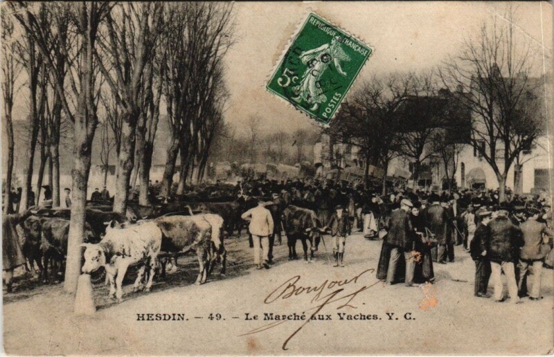 Carte postale ancienne Hesdin - Le Marché aux Vaches à Hesdin
