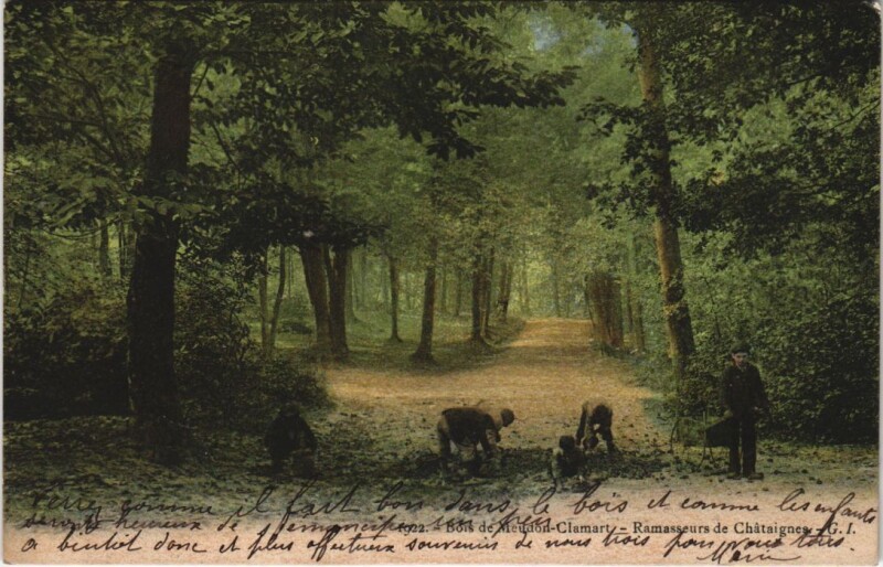 Carte postale ancienne Bois de Meudon-Clamart - Ramasseurs de Chataignes à Clamart